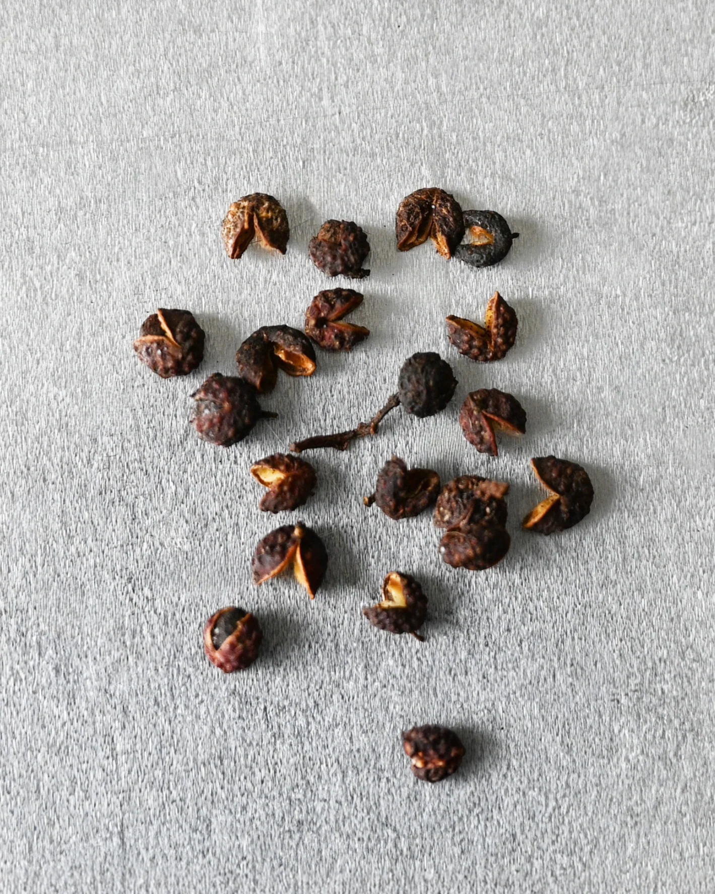 BOTANICAL: TIMUT PEPPER - Image 2